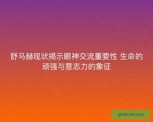 舒马赫现状揭示眼神交流重要性 生命的顽强与意志力的象征