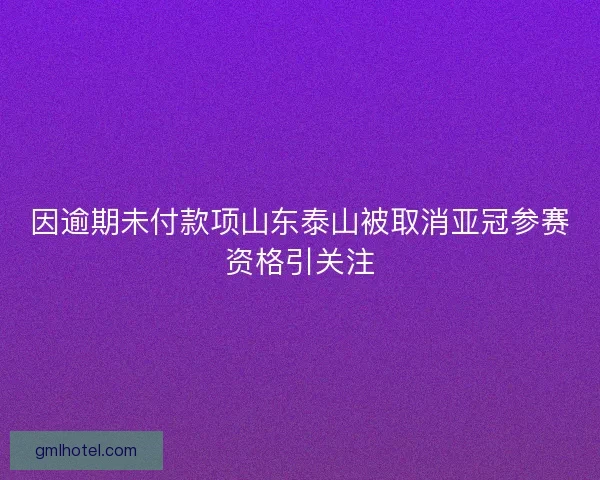 因逾期未付款项山东泰山被取消亚冠参赛资格引关注