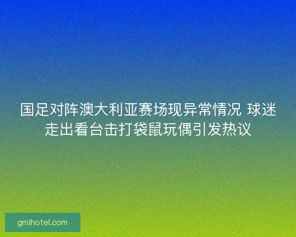 国足对阵澳大利亚赛场现异常情况 球迷走出看台击打袋鼠玩偶引发热议
